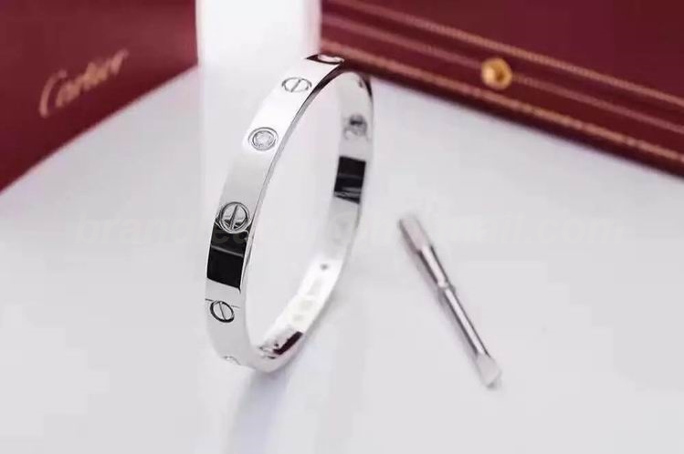 Cartier Bangles 6